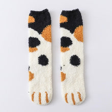 Load image into Gallery viewer, Autumn and Winter Cat Socks
